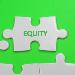equity puzzle