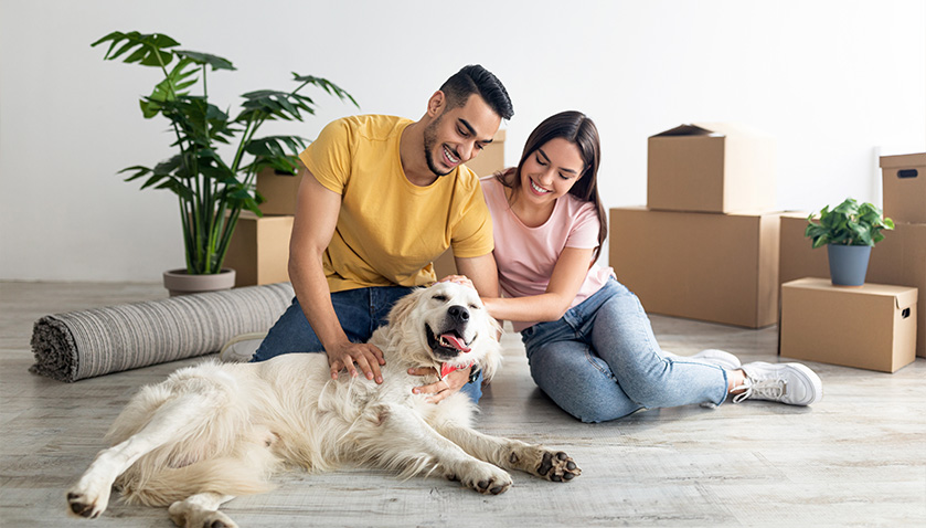 How to prepare your rental property for pets spi