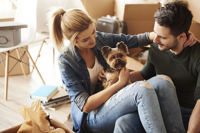 moving house with pet