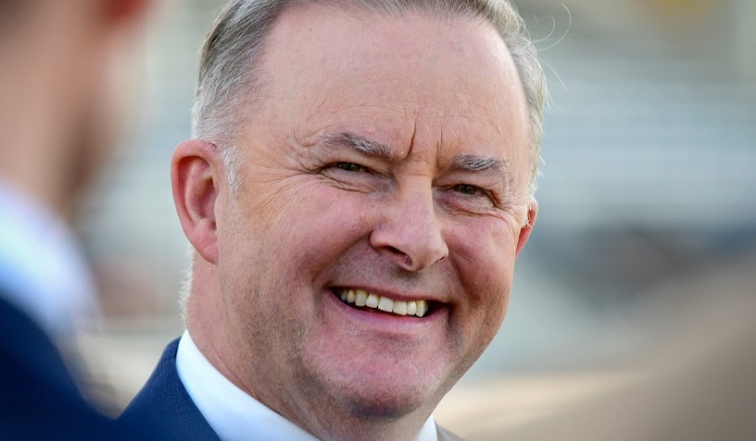 Anthony Albanese spi