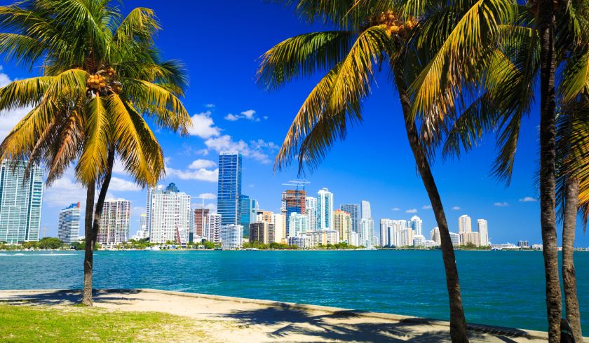 Miami beach skyline spi