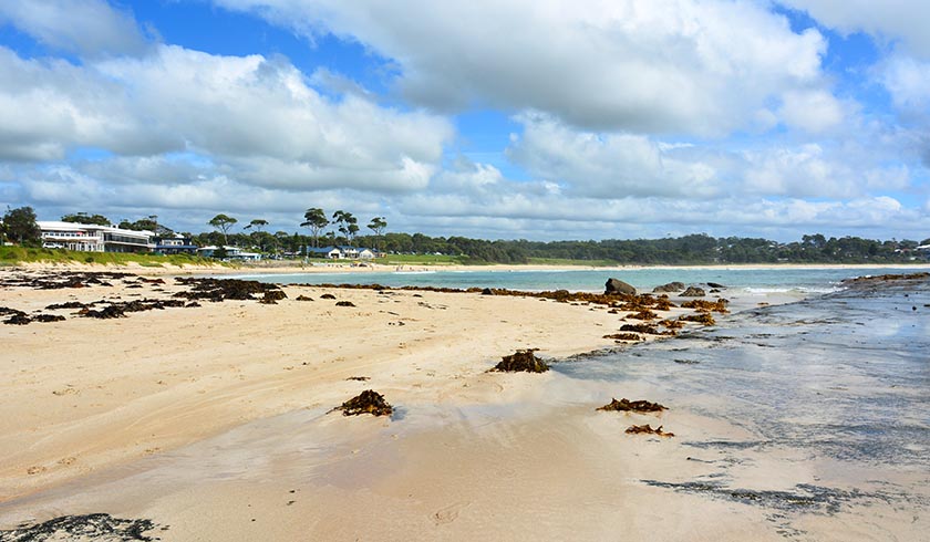 Mollymook Beach NSW spi