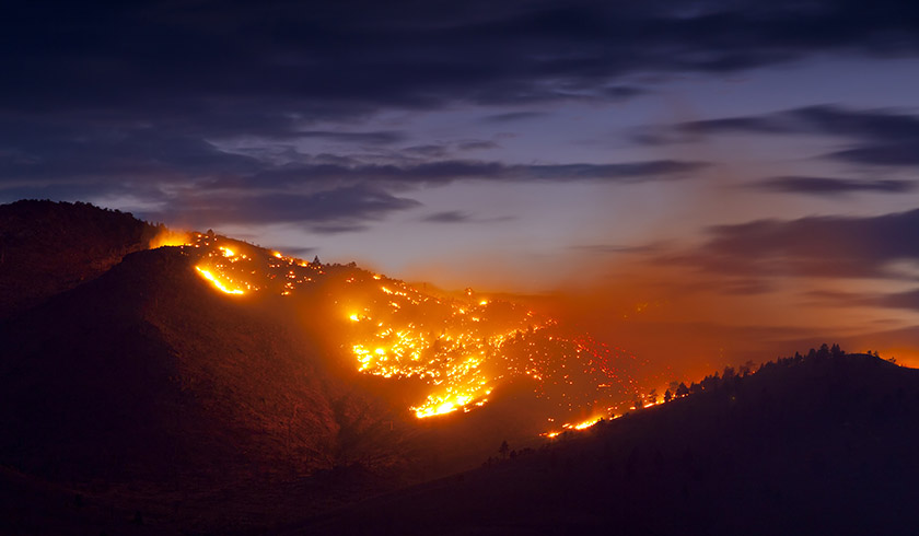 Wild fire spi