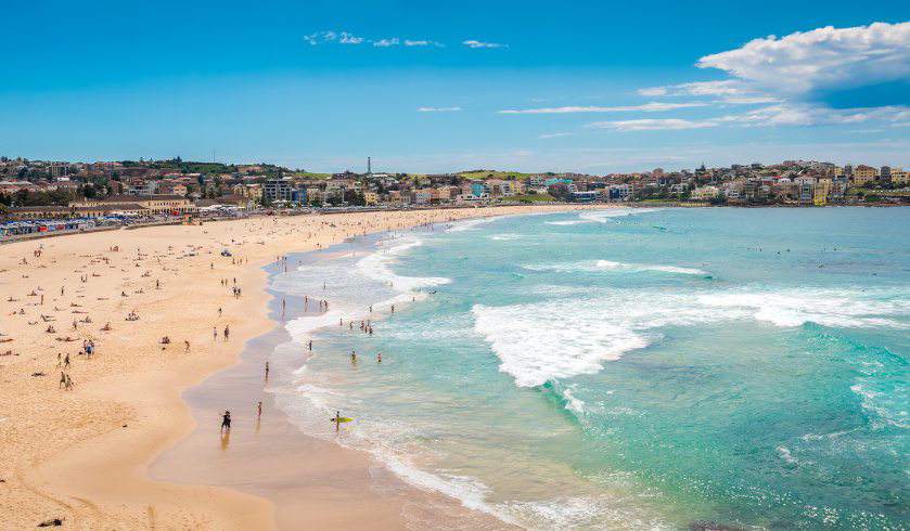 bondibeach skyline spi