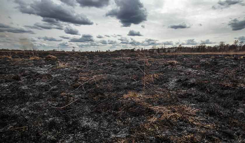 burned land spi