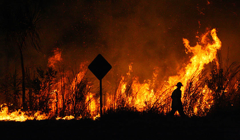 bushfire spi