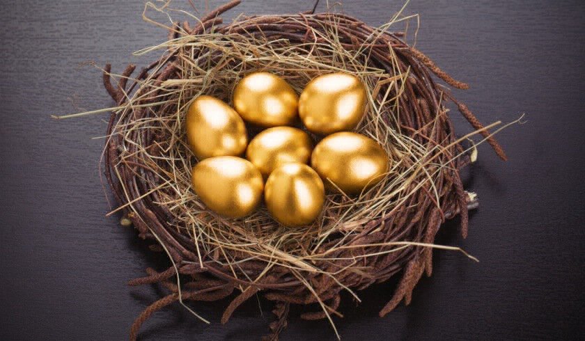 golden eggs nest spi