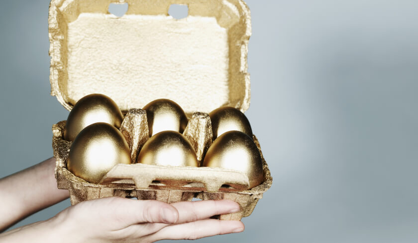 golden eggs840