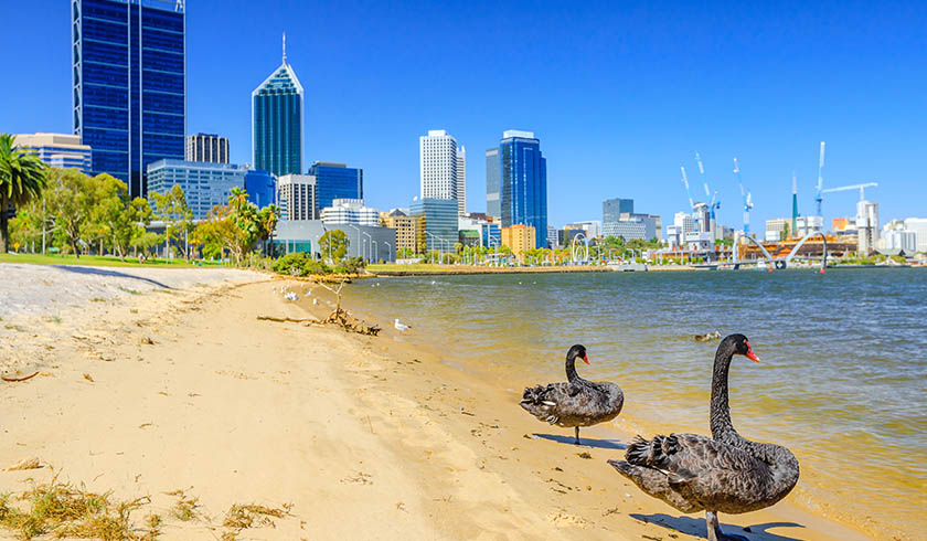 swan river perth spi